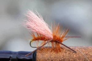 Read more about the article Top 10 Flies Every Fly Fisherman Should Have